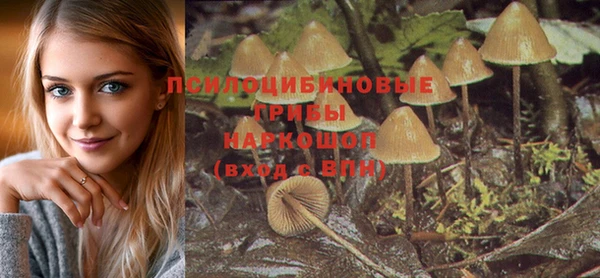 гашик Белокуриха