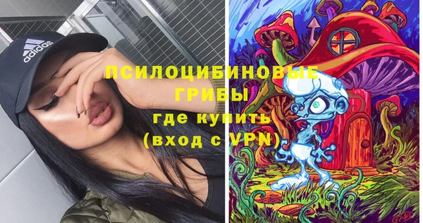 гашик Белокуриха