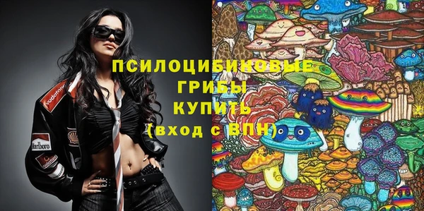 гашик Белокуриха