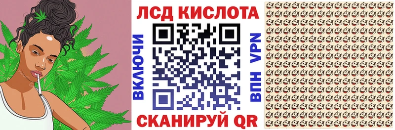 Купить закладки  Лосино-Петровский  Наркотические марки 1,8мг 