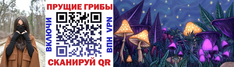 Купить  Лосино-Петровский  Галлюциногенные грибы MAGIC MUSHROOMS 